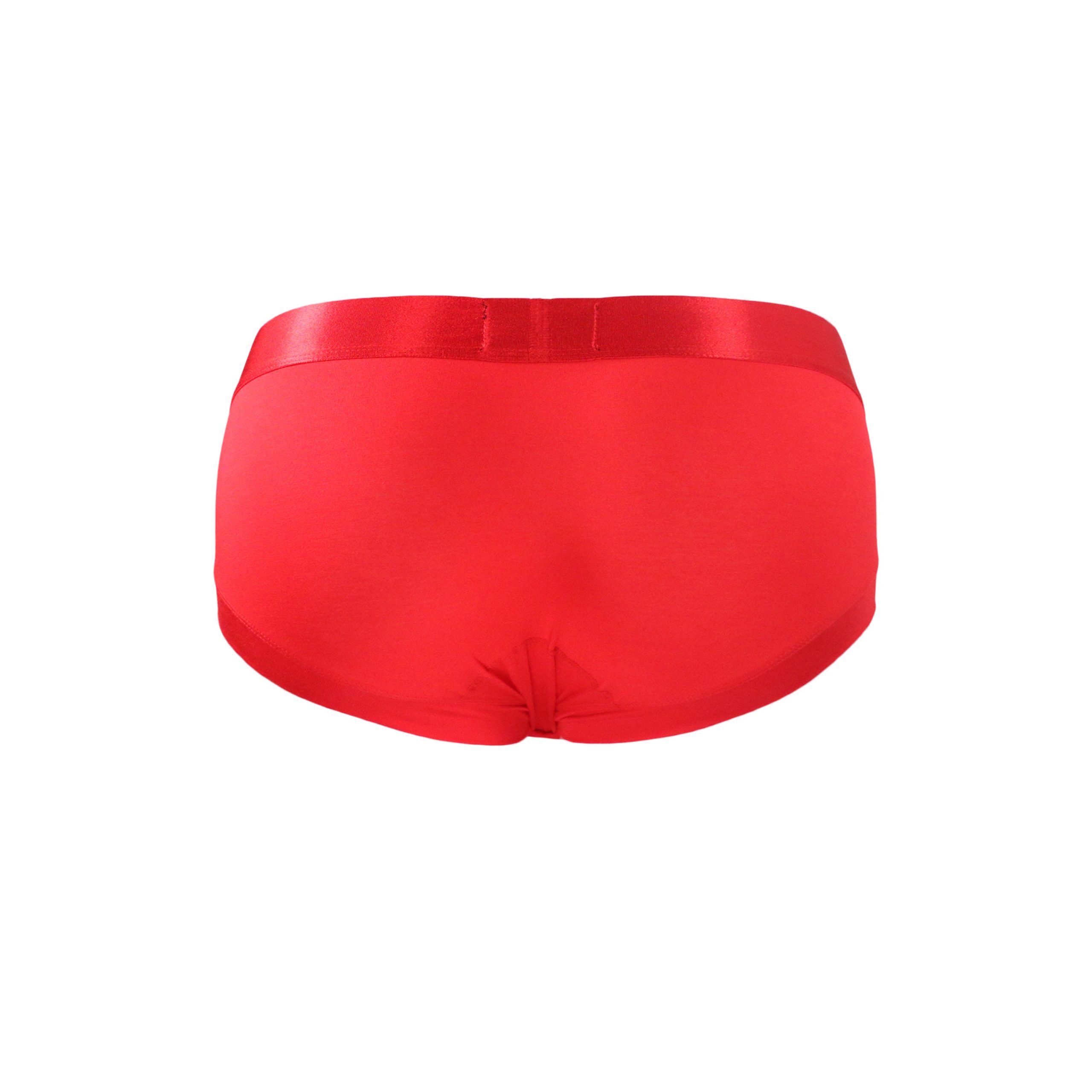 Red-Iso-Brief-Back