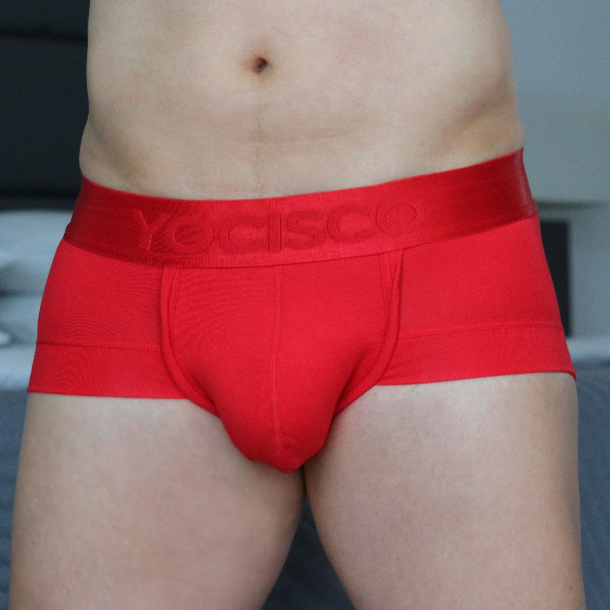 Red-Iso-Brief