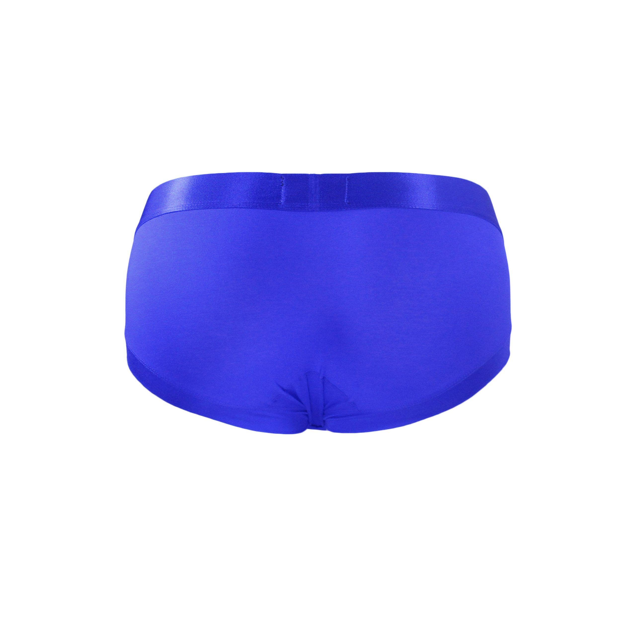 Blue-Iso-Brief-Product-Shot-Back-File