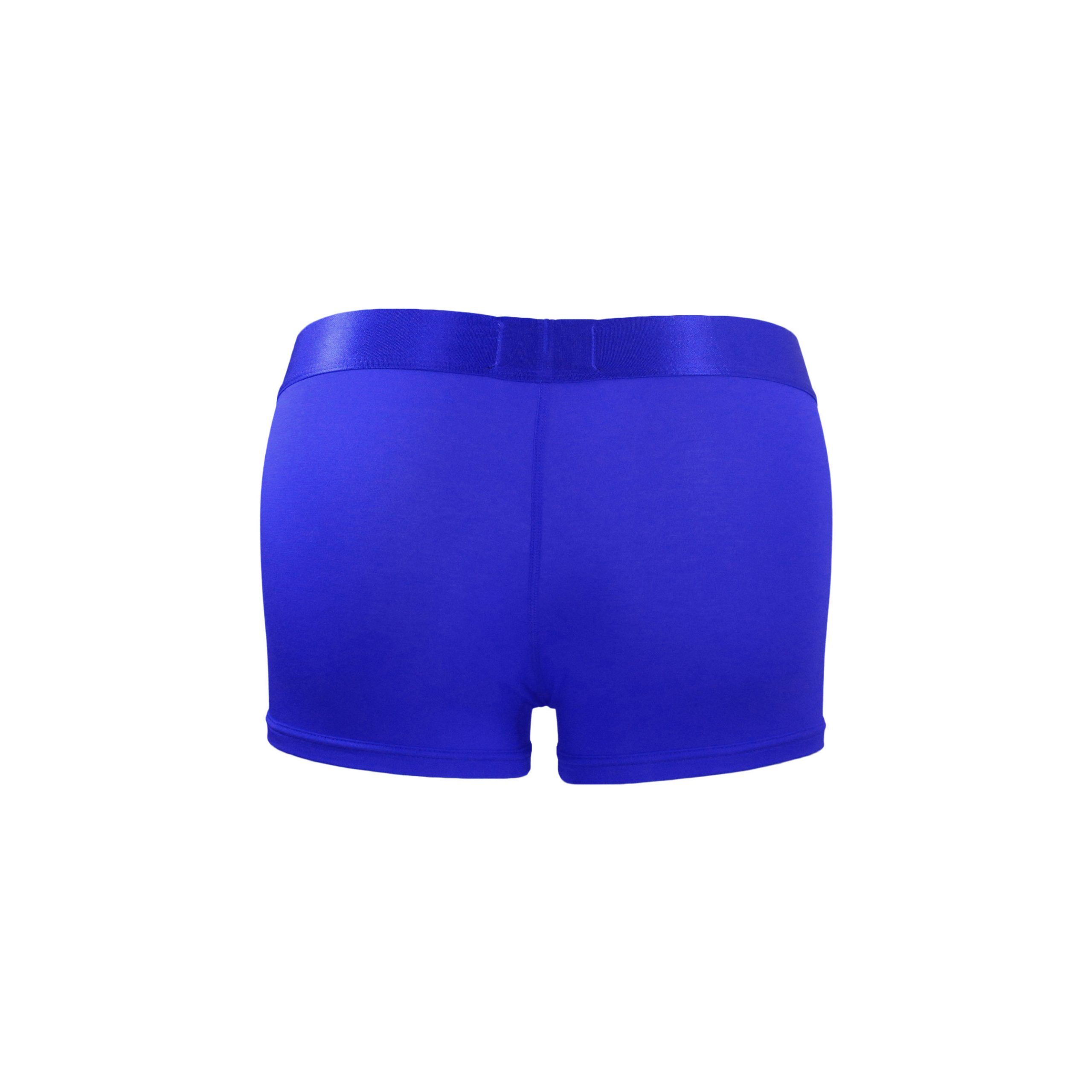 Blue-Trunk-Product-Shot-Back-File